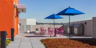 The Brand Gallery 22