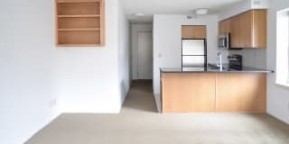 Ricardo Ricardo Gallery 36