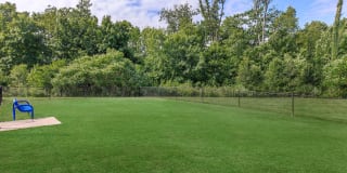 Grand at Florence Gallery 13