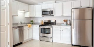 Mill Street Gardens Gallery 7