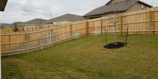 10403 Midsummer Meadow Gallery 25