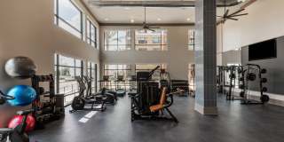 Citron at the Packing District Gallery 46