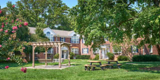 Rodgers Forge Gallery 13