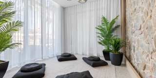 Tortoise One Gallery 28