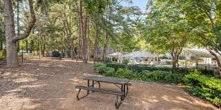 Harris Pond Gallery 36