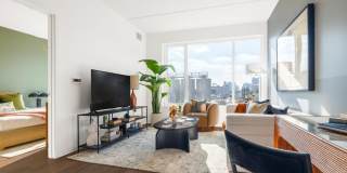 The Carson Gallery 19