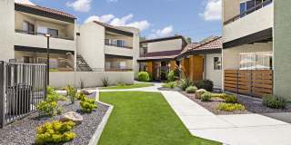 Citrine on 67th Gallery 12