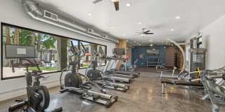 ReNew Biltmore Gallery 23