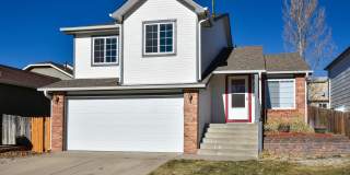 Updated 3bed 3bath home in D20 Schools! Gallery 1