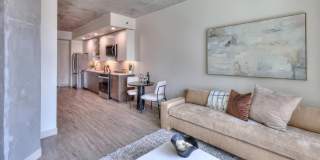 Prima at Paseo South Gulch Gallery 11