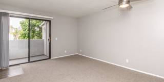 Palm Court Apartment Homes Gallery 19