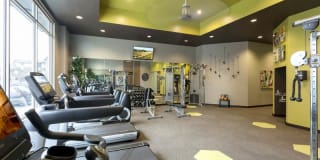 The View at Golden Ridge Gallery 11