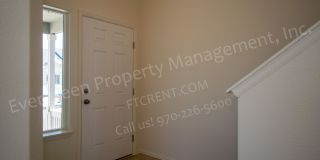 Beautiful 4-Bedroom in Greeley Colorado Beautiful 4-Bedroom in Greeley Colorado Gallery 12
