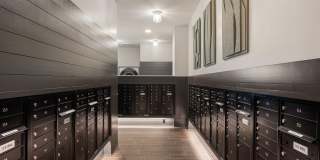 Alta Avondale Gallery 38