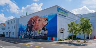 1821 SAN MARCO Boulevard Gallery 18