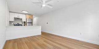 Noda Gallery 38