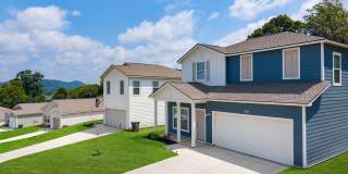 Alden North Knoxville Gallery 85