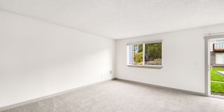 Driftwood Gallery 40