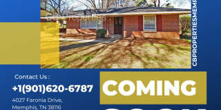 4027 Faronia Dr Gallery 1