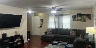 11 Spring Lane Gallery 2