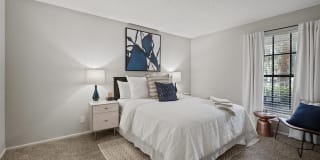 10X Port Royale 10X Port Royale Gallery 18