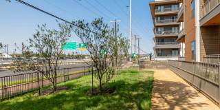 Presidium 183 Gallery 4