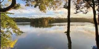 67 Phalanx Road Gallery 42