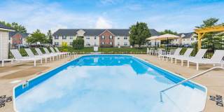 Bear Pointe Gallery 5