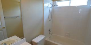 Spacious Home in Cibolo with 3 Car Garage! Realor Commission: $750 Gallery 26