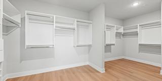 The Vivien Gallery 45