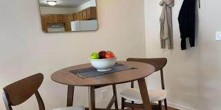 Springtree Gallery 15