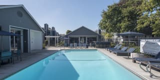 Cypress Creek Gallery 22