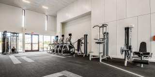 Lamar Union Gallery 54