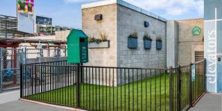 Sunset and Vine Sunset and Vine Gallery 35