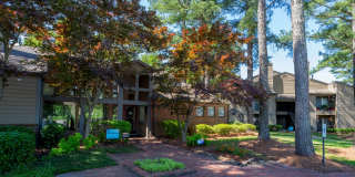 The Summit Gallery 21