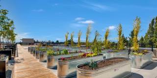 Parla Apartments Gallery 29
