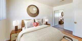Bay Terrace Gallery 11
