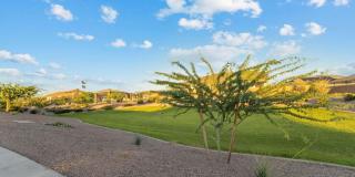1058 W AVALON CANYON Drive Gallery 22