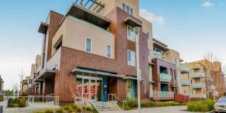 Gorgeous penthouse condo in South Fremont – Resort Like Amenities & Pet Friendly! Gallery 1