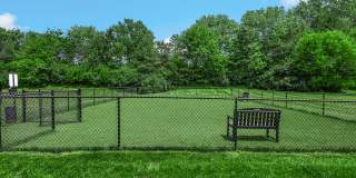 TGM Meadow View Gallery 79