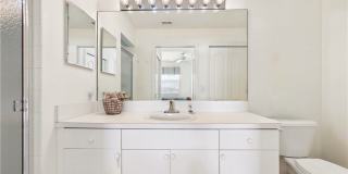 10391 Butterfly Palm Drive Gallery 16
