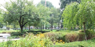 Modera 44 Gallery 45