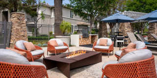 Camino Real Gallery 7