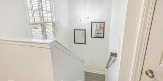 2664 Stellar Loop Gallery 6