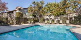 Alderwood Park Gallery 3