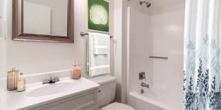 Tanglewood Apartments Gallery 15