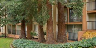 Atrium Downtown Gallery 20