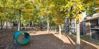 Cary Greens at Preston Gallery 50