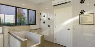 Bell Westford Gallery 26