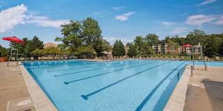 Cinnamon Run at Peppertree Farm Gallery 26